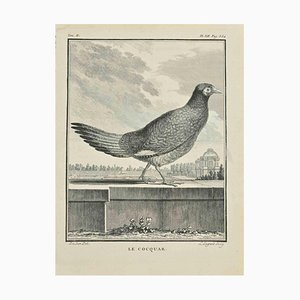 Louis Legrand, Le Cocquar, Etching, 1771