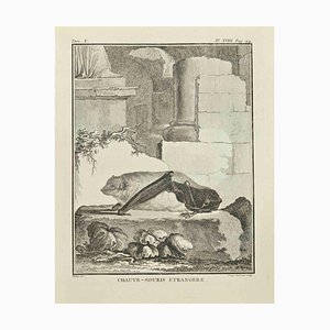 Louis Legrand, Chauvesouris, Etching, 1771