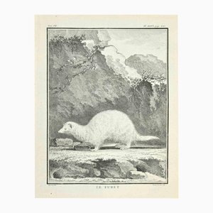 Louis Legrand, Le Furet, Radierung, 1771