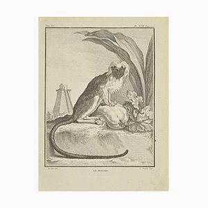 Jean Charles Baquoy, Le Pinche, Eau-forte, 1771