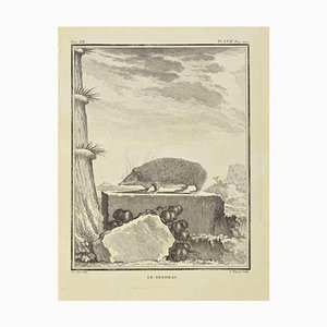 Jean Charles Baquoy, Le Tendrac, Eau-forte, 1771