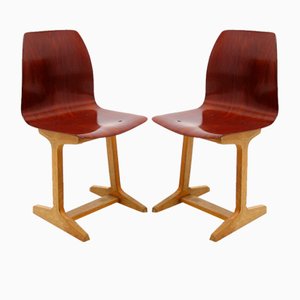 German Side Chairs by A. Stegner, 1960s, Set of 2