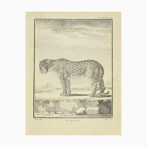 Jean Charles Baquoy, Le Leopard, Acquaforte, 1771