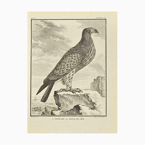 Madeleine Rousselet, LOrfraie, Etching, 1771