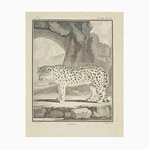 Jean Charles Baquoy, Lonce, Eau-forte, 1771