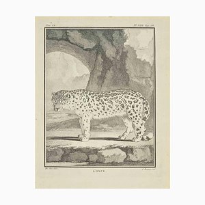 Jean Charles Baquoy, Lonce, grabado, 1771