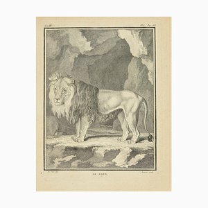 Jean Charles Baquoy, Le Lion, Acquaforte, 1771