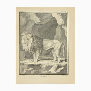 Jean Charles Baquoy, Le Lion, Etching, 1771