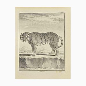 Jean Charles Baquoy, Le Tigre, Etching, 1771