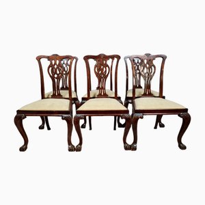 Vintage Chippendal Chairs in Mahogany, 1890s, Set of 6