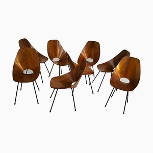 Vintage Italian Medea Chairs by Vittorio Nobili for Fratelli Tagliabue, 1950s, Set of 8