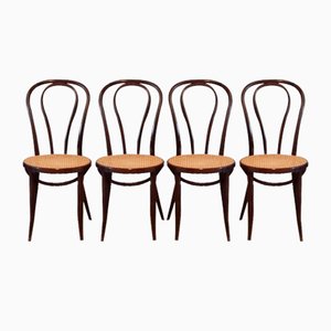 Bentwood No. 18 Chairs from ZPM Radomsko, 1970s, Set of 4