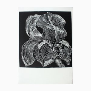 Marta Bozyk, Iris Aphilla Flower, 2017, Linocut
