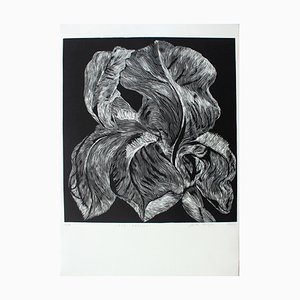 Marta Bozyk, Iris Aphilla Flower, 2017, Linograbado