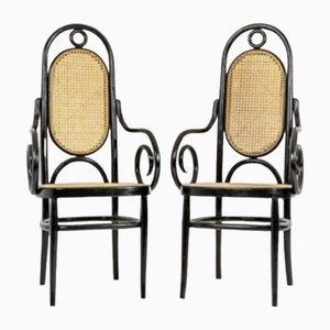 Chairs with Armrests Mod N° 17 from Michael Thonet, Set of 2
