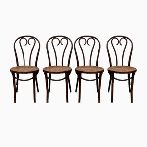 Bistro Chairs in Cane from Thonet, 1890s, Set of 4
