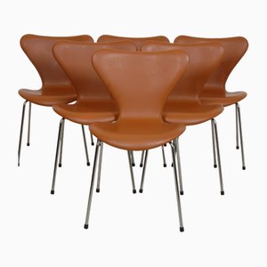 Chairs in Walnut & Essential Leather by Arne Jacobsen for Fritz Hansen, Set of 6