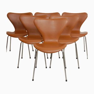 Stühle aus Nussholz & Essential Leder von Arne Jacobsen für Fritz Hansen, 6 . Set