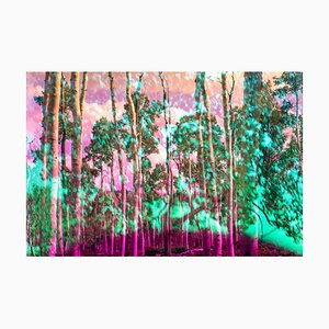 Karine Laval, Pando #1, 2018, Color Photography