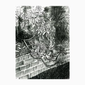 David Hockney, Cactus and Wall, 2000, Litografía, Enmarcado