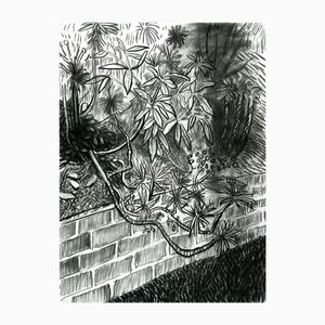 David Hockney, Cactus and Wall, 2000, Litografia, Incorniciato