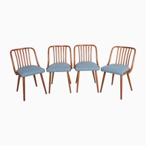 Dining Chairs attributed to Antonin Suman for Ton, 1960s, Set of 4