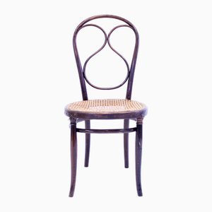 Silla de café Fischel de madera curvada de principios del siglo XX, década de 1890