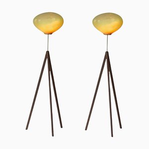 Stati X Amber Iridescent Floor Lamps by Eloa, Set of 2