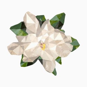 Flower Magnolia 200 Rug by Illulian