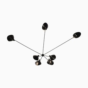 Spider 7 Still Arms Sconce by Serge Mouille