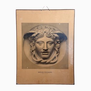 Medusa Rondanini, 1895, Impresión de colotipo