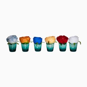 Placeholders in Emerald Glass by Ivv Firenze, Set of 6