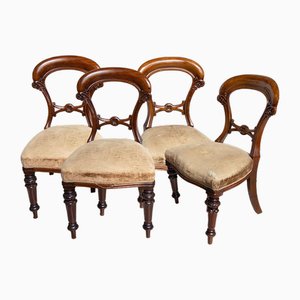 Victorian English Chairs in Mahogany, 19th Century