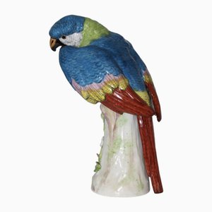 Porcelain Parrot in the style of Meissen, 1940s