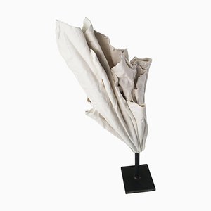 Fold III Sculpture by Dora Stanczel