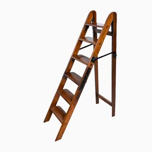 Vintage Library Stepladder, 1920s