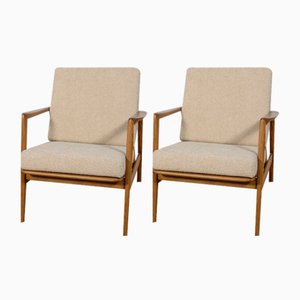 Mid-Century Model 300-139 Armchairs from Swarzędz Factory, 1960s, Set of 2