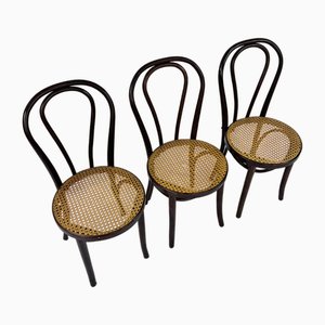 Chaises de Café en Bois Courbé et en Rotin, 1970s, Set de 3