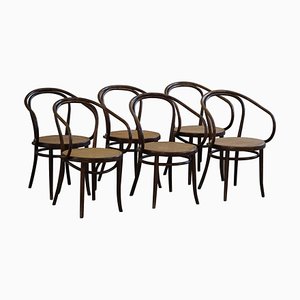 Mid-Century Vienna Stühle aus Buche & Rohrgeflecht von ZPM Radomsko für Thonet 1960er, 6er Set