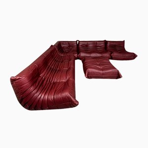Kastanienbraunes Togo Sofa Set aus Leder von Michel Ducaroy für Ligne Roset, 5er Set