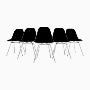 DSX Chairs with Fibreglass Shells in Charcoal Black Upholstery by Charles & Ray Eames for Herman Miller, 1960s, Set of 5