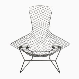 Bird Lounge Chair by Harry Bertoia for Knoll International, 1970s