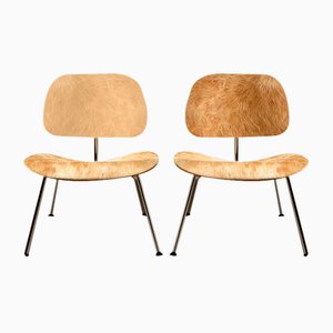 Set of Eames LCM Chairs in Calfs Skin by Charles & Ray Eames for Vitra, 2001