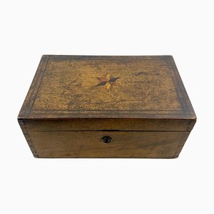 Caja francesa Louis Philippe grande de marquetería Star, Francia, década de 1850