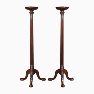 Supports en Acajou, 1890s, Set de 2