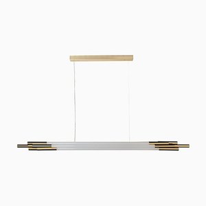 Medium Horizontal Org Pendant Lamp by Sebastian Summa