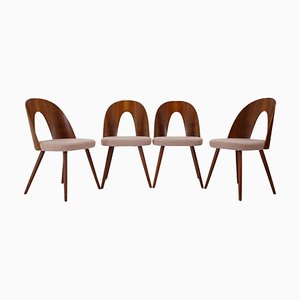 Dining Chairs in Walnut Veneer by Antonin Suman, Former Czechoslovakia, 1960s, Set of 4