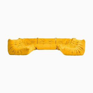 Modulare Sofas aus gelbem Togo Alcantara von Michel Ducaroy für Ligne Roset, 5er Set