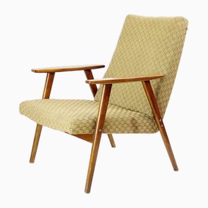Easy Chair Mid-Century en Chêne, Ex-Tchécoslovaquie, 1960s