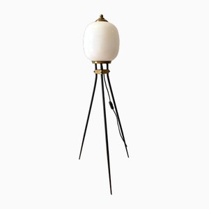 Tripod Stehlampe aus Messing & Opalglas, Italien, 1950er